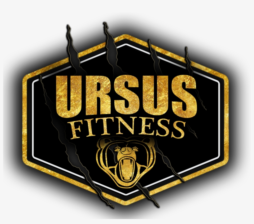 Host - Ursus Fitness, transparent png download
