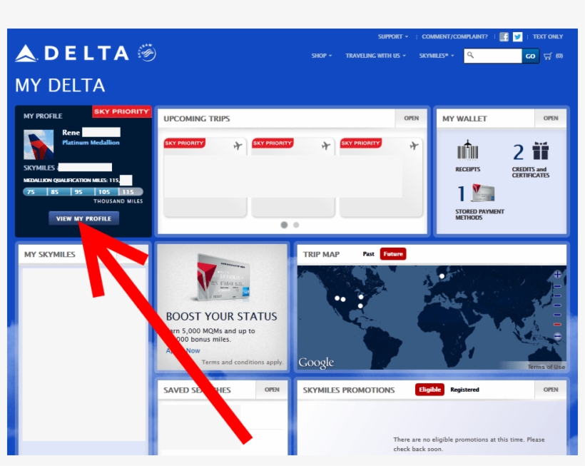 Then Go To “basic Info” Tab And Open That - Tsa Precheck Delta App, transparent png download