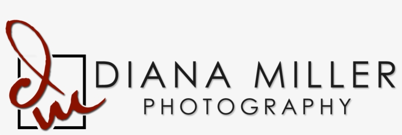 Sacramento's Premier Corporate And Family Photographer - Art, transparent png download