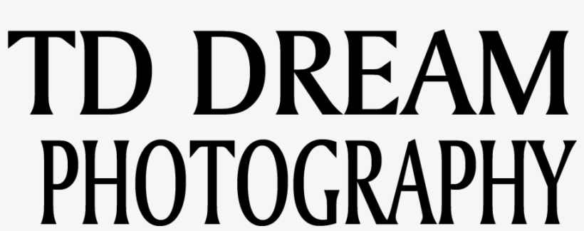 Durban Wedding Photography Td Dream Photography Wedding - Scripture Praise Him With The Timbrel And Dance, transparent png download
