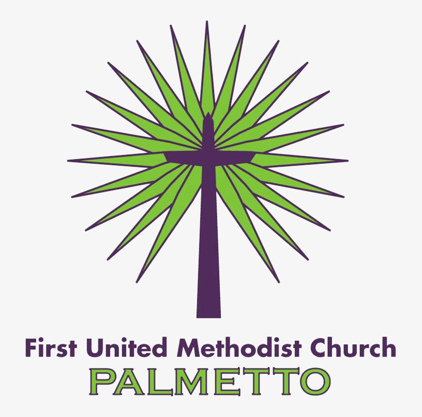 First United Methodist Church Of Palmetto - Pnb Metlife, transparent png download