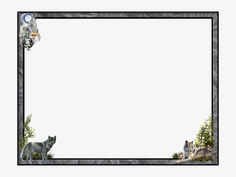 Download Picture Frame Clipart Picture Frames Photography - Frame Png Cat, transparent png download