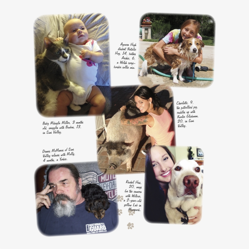 Petandpeeps Natalie With Archie, Karlee With Charlotte, - Ancient Dog Breeds, transparent png download
