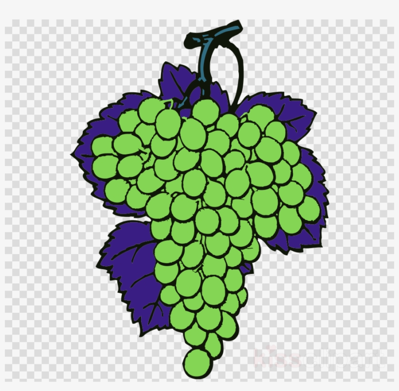 Grape Cartoon Clipart Wine Cabernet Sauvignon Sauvignon - Purple Grapes Shower Curtain, transparent png download
