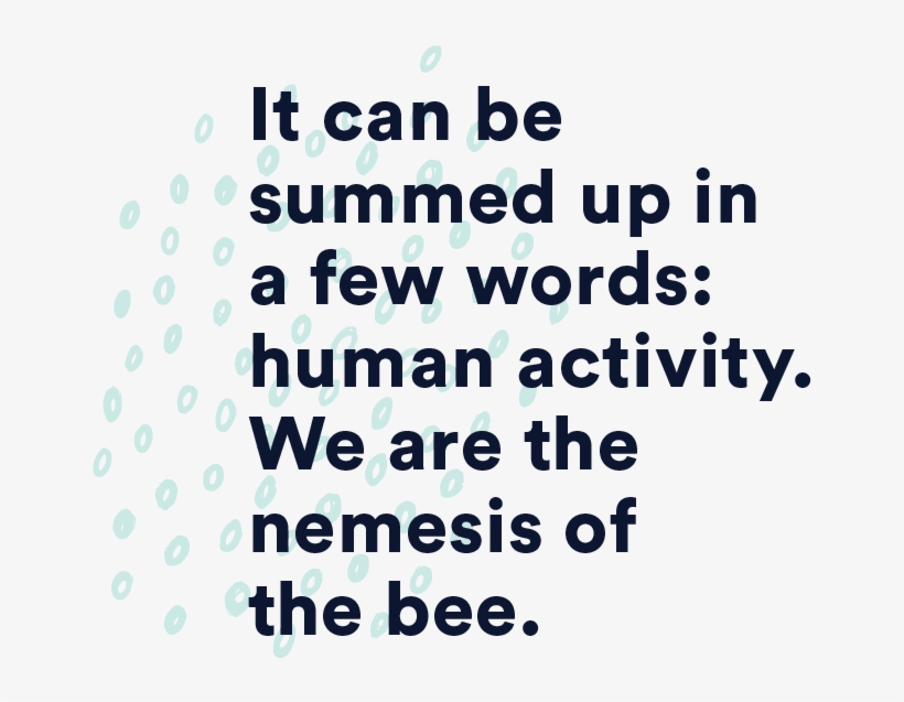 Pull02 - Degrassi: The Next Generation, transparent png download