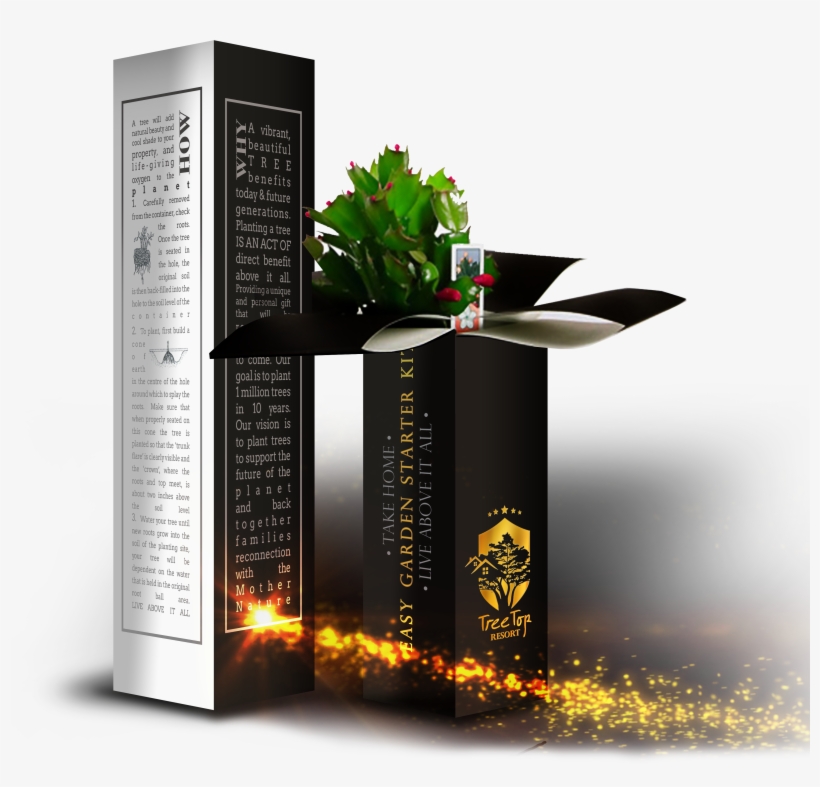 Flower Packaging Design, transparent png download