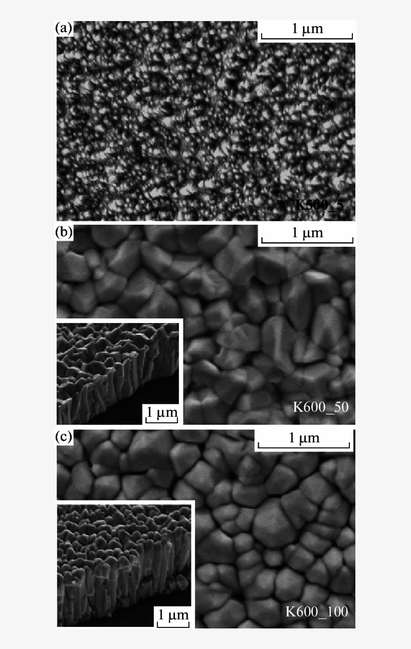 Semmfeg Micrographs Of Krffdeposited Zno Films At Substrate - Film, transparent png download