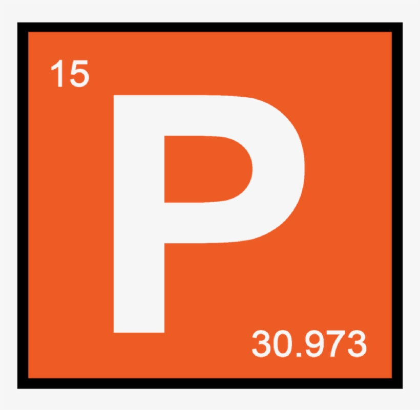 The Best Pharmacy Tech Lessons - Pharmacy, transparent png download