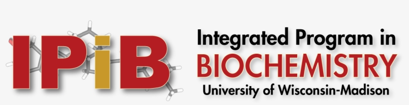 White Png - Integrative Power Of Cognitive Therapy By Brad A. Alford, transparent png download