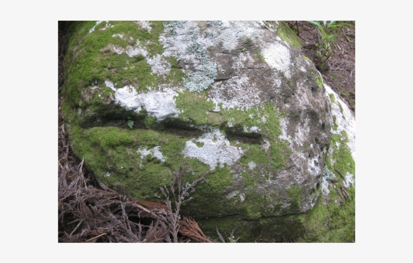 Example Of A Stone With Cut Marks In Front, Cup Marks - Stone East Oriental Transparent Png, transparent png download