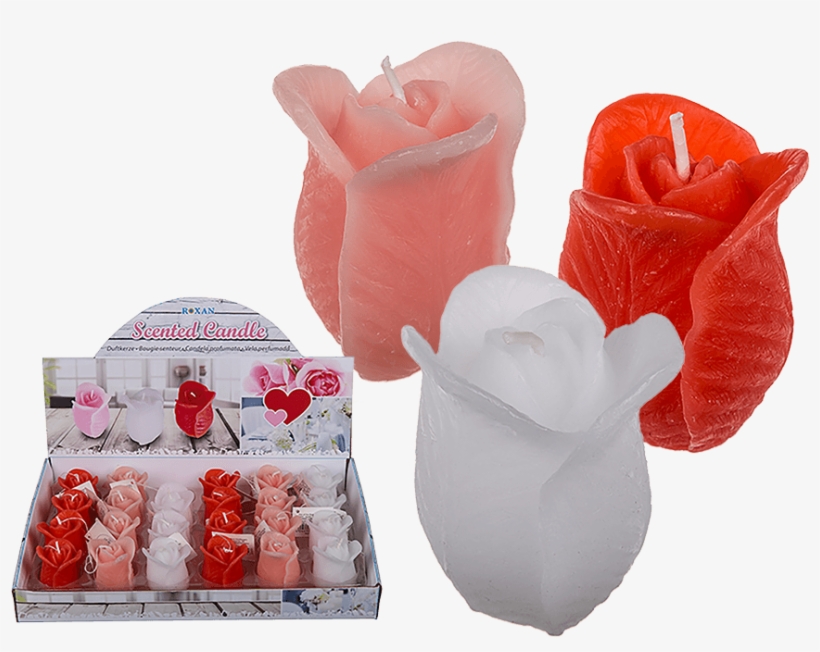 You Are Here - Rose, transparent png download