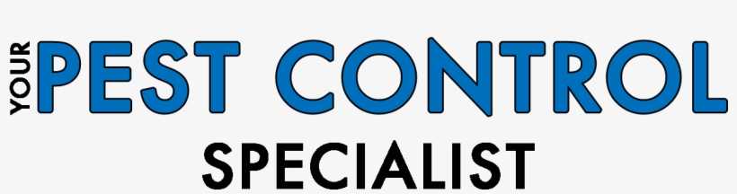 Boxelder Bug Removal In Denver, Phoenix & Oklahoma - Estada E Estadia, transparent png download