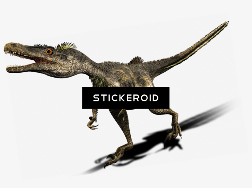 Dinosaur - Velociraptor, transparent png download