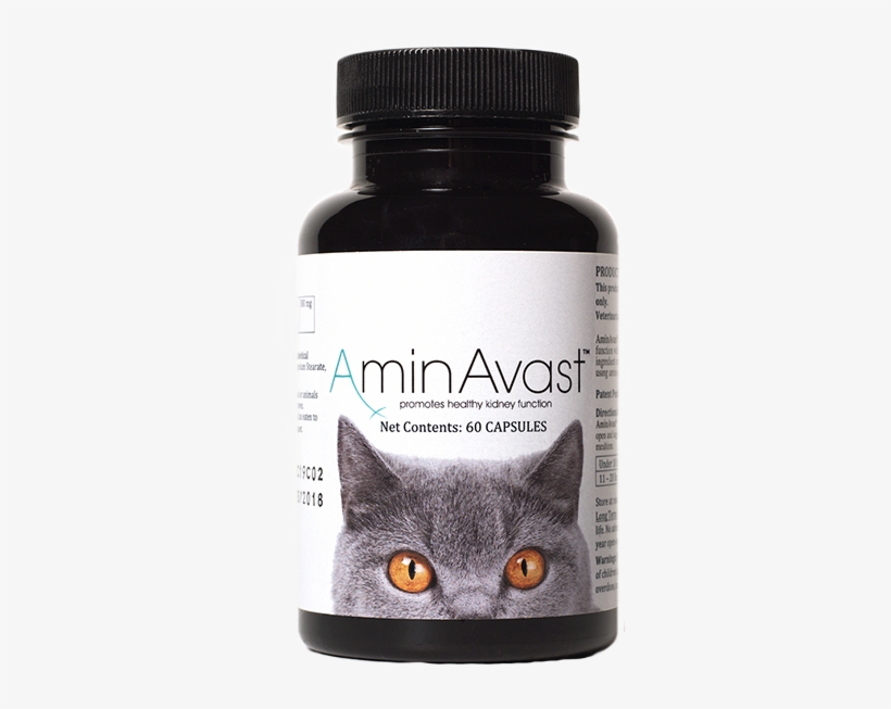 Aminavast For Cats - Aminavast Cat, transparent png download