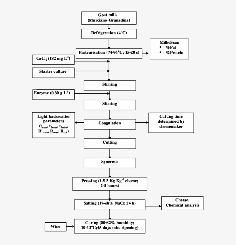 Flow Diagram Of The Process Used To Monitor Coagulation - Flowchart, transparent png download
