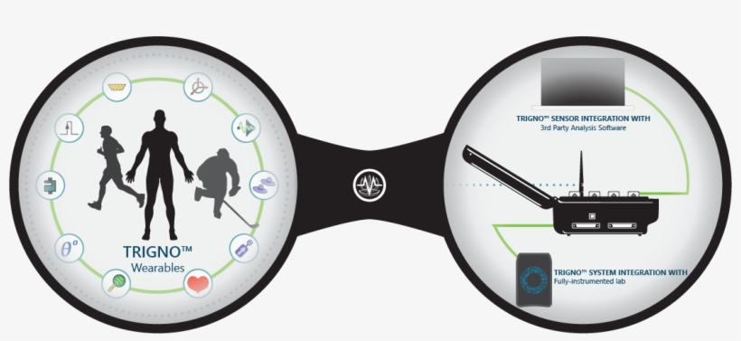 Exploring Human Movement Research With Wearable Sensors - Human, transparent png download