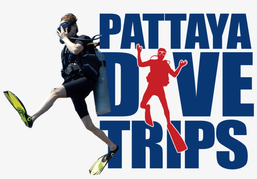 Pattaya Dive Trips Thailand - Pattaya, transparent png download
