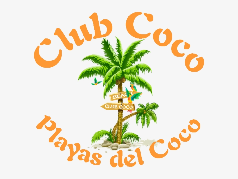 Cocologo1bi - Coconut Tree Png Clipart, transparent png download