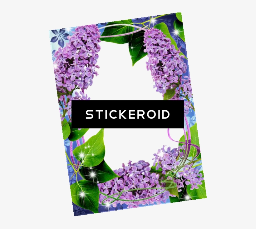 Lilac Flowers - Lilacs And Home-grown Tomatoes:, transparent png download