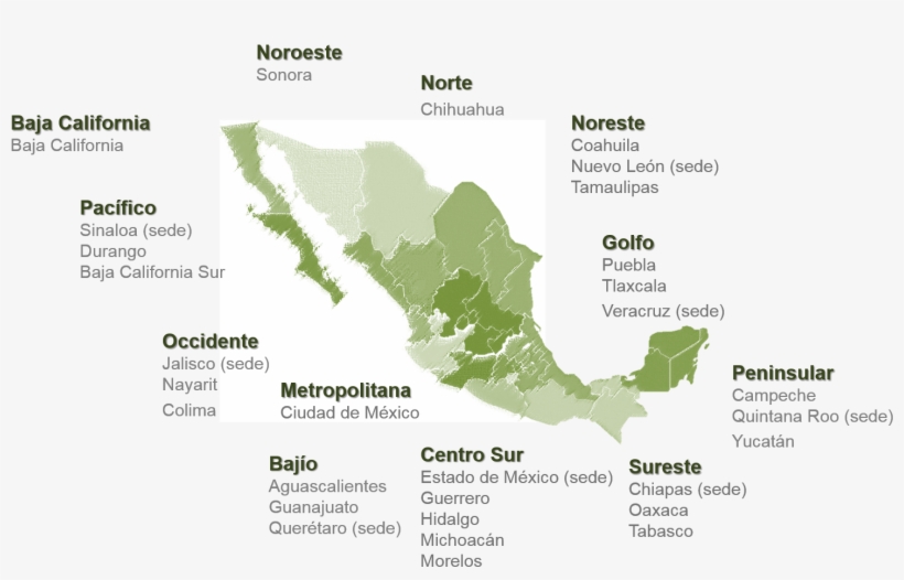 Delegaciones - Matrimonio Igualitario En Mexico 2017, transparent png download