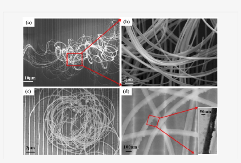 Sem Images (b) Of Sige Stripes Etched From Soi Substrate - Redox, transparent png download