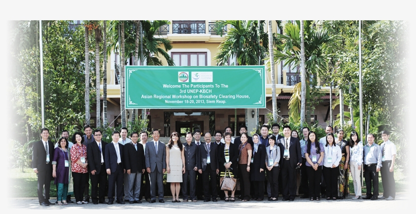 This Portal Is Developed To Create A Network For Asia - Palm Tree, transparent png download