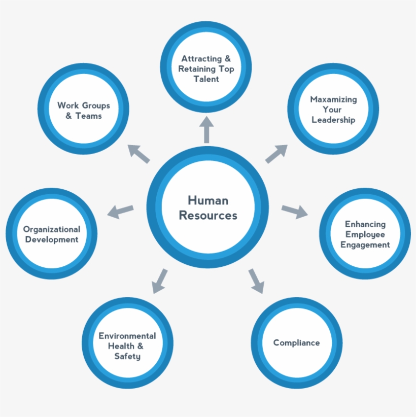 Receive Unbiased Opinions On How To Increase Efficiency - Circle, transparent png download