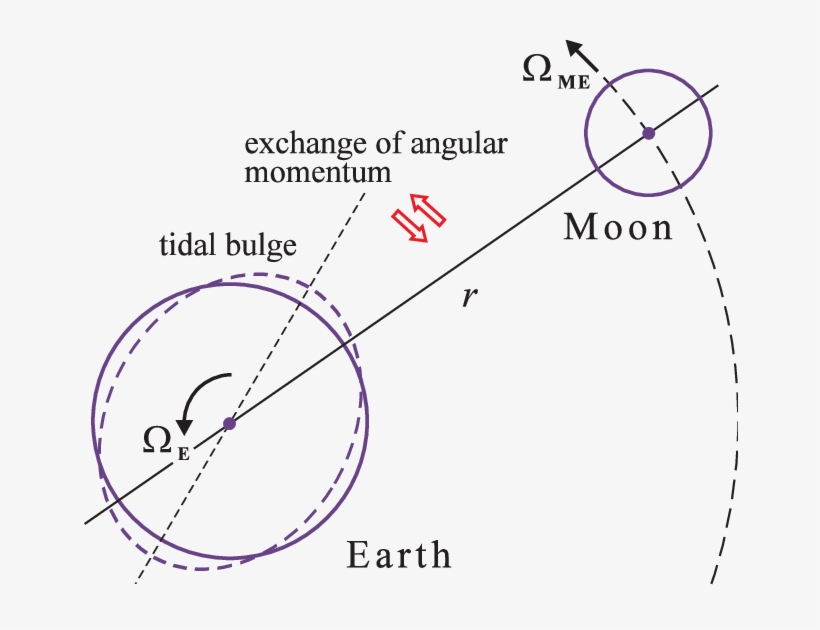Sketch Of The Tidal Interaction Between The Earth And - Moon, transparent png download