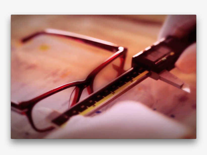 We Are Lion Capital - Macro Photography, transparent png download