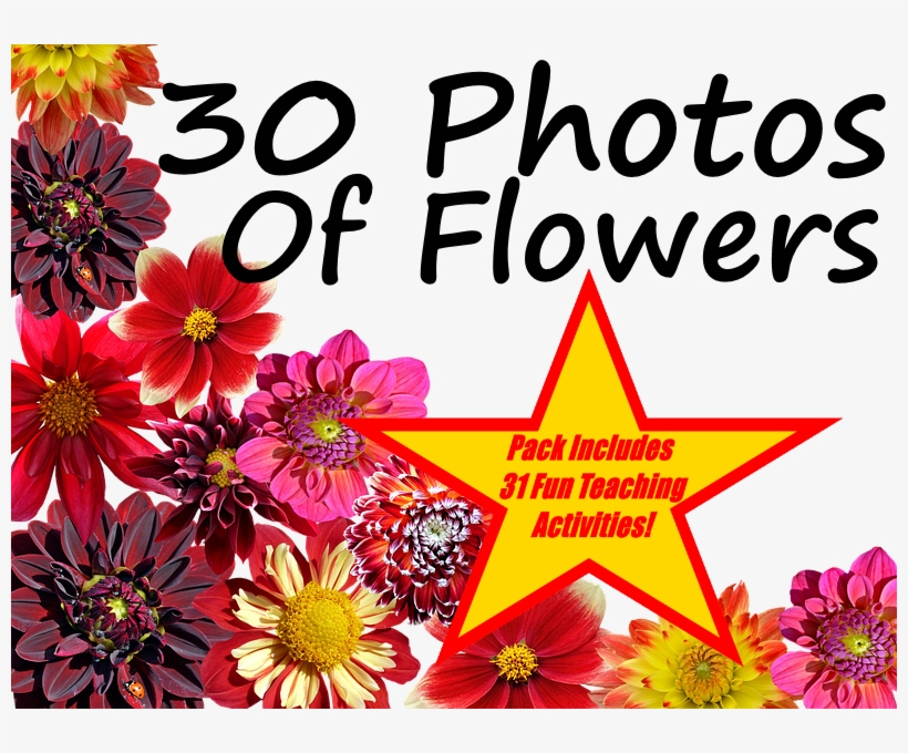 30 Colourful Flower Photos Presentation 31 Fun Teaching - Adult Coloring Book: Flowers In Love : Stress Relieving, transparent png download