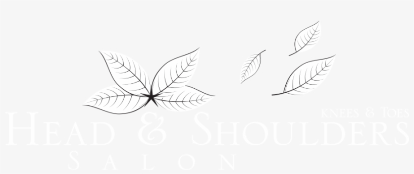 Email - Head & Shoulders, transparent png download