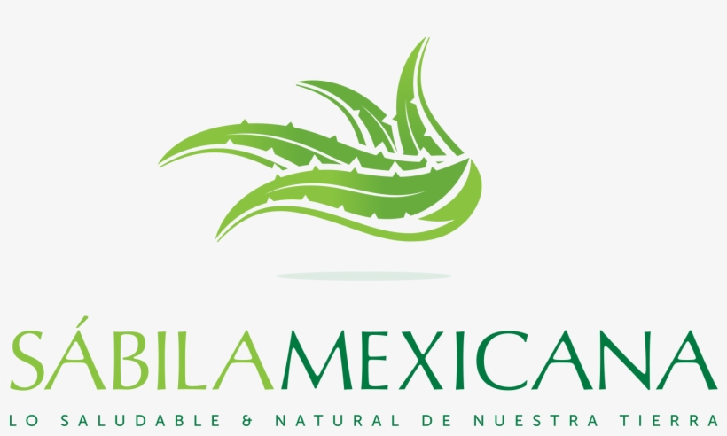 Beneficios Del Aloe Vera - Arbor Lakes Dental - Jamie L. Sledd, Dds, transparent png download