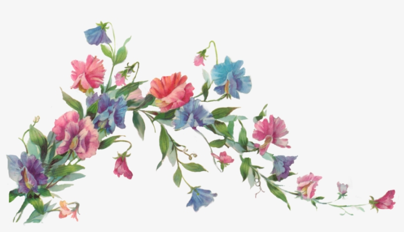 Floral Transparent Png - Finding Joy In Your Day.: A Gratitude Journal, transparent png download
