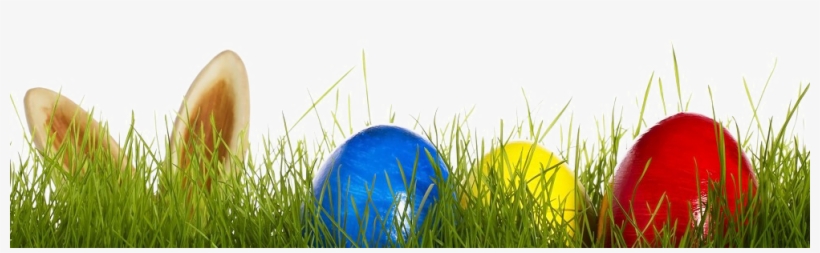 Easter Grass Eggs Png Transparent Image - Easter Eggs Grass Transparent, transparent png download
