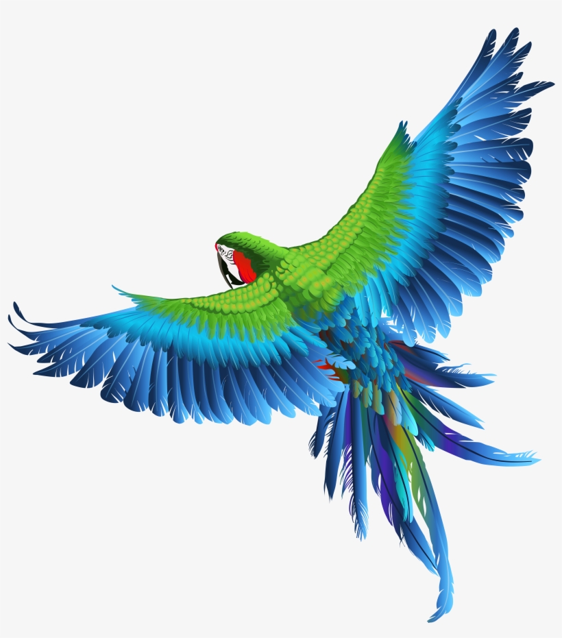 Transparent Parrot Clipart Picture - Birds Png Image Hd, transparent png download