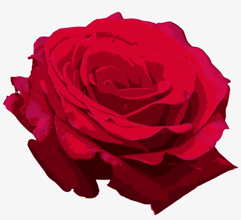 Red Roses Png - Portable Network Graphics, transparent png download