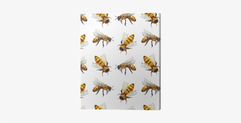 Watercolor Seamless Pattern With Bee Canvas Print • - Watercolor Bees On Honeycomb - White Case - Ipad Air, transparent png download