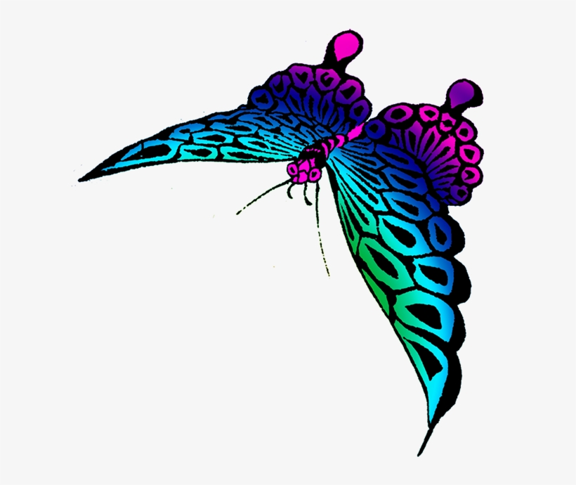 Strange Colored Butterfly, transparent png download