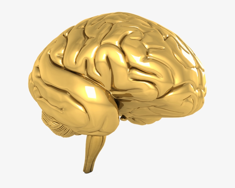 Nootroo Gold Brain Nootropic Clear - Golden Brain Transparent, transparent png download
