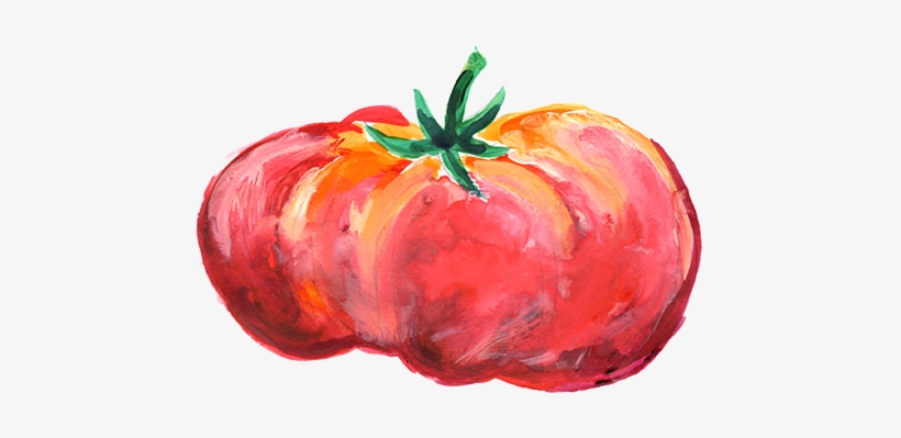 Tomato Sketch025 - Heirloom Tomato, transparent png download