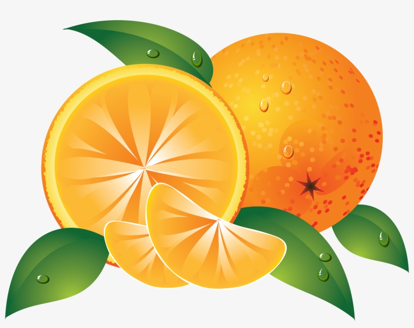 Best Free Orange Transparent Png Image - Fruit Clip Art Orange, transparent png download