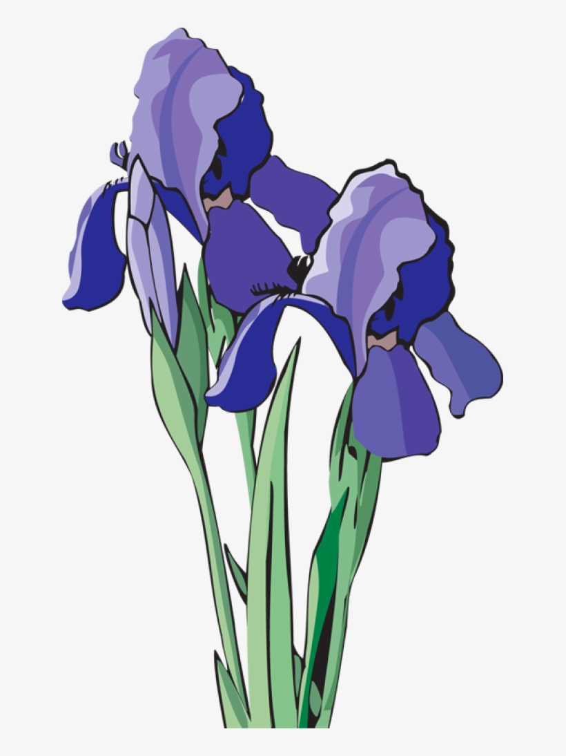 Clip Art Of Beautiful Flowers - Iris Clip Art, transparent png download