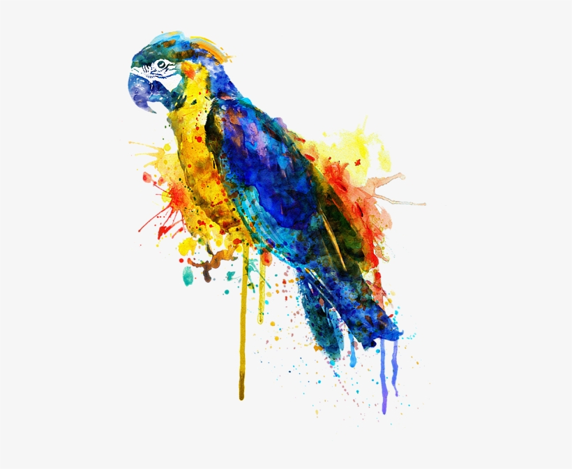 Bleed Area May Not Be Visible - Parrot Art, transparent png download