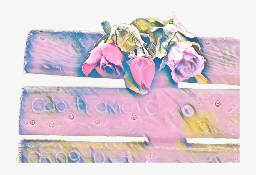 Garden Roses, transparent png download