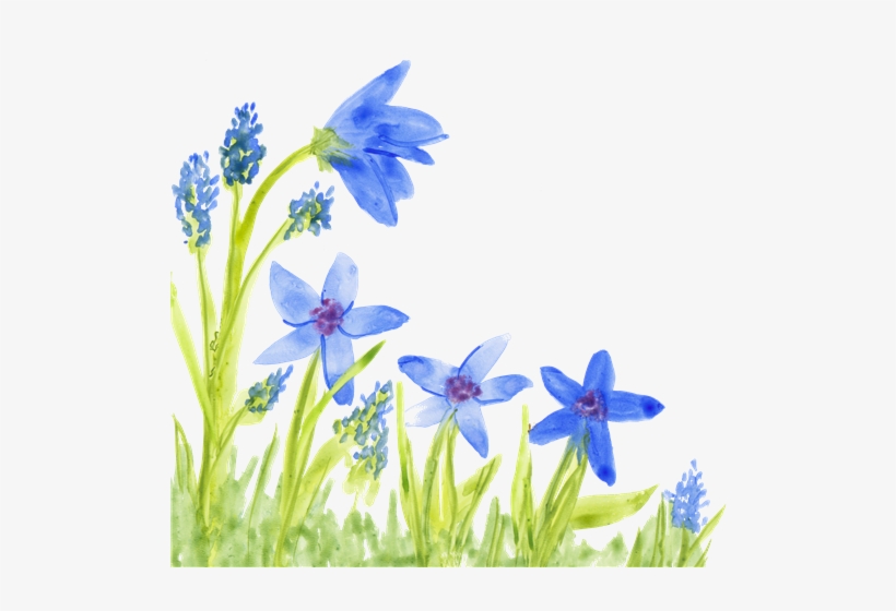 Local Artist Adds Flair To New Children's Book Series - Scilla, transparent png download