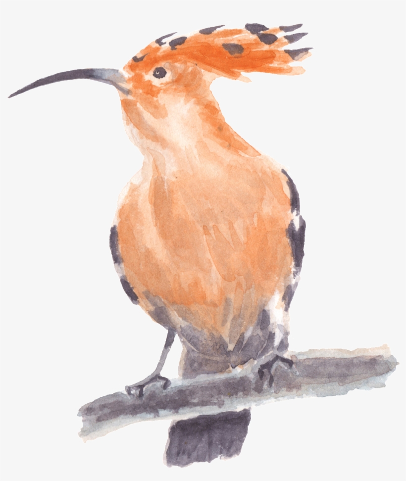 Toucan Standing On A Tree Trunk, Watercolor Transparent, transparent png download