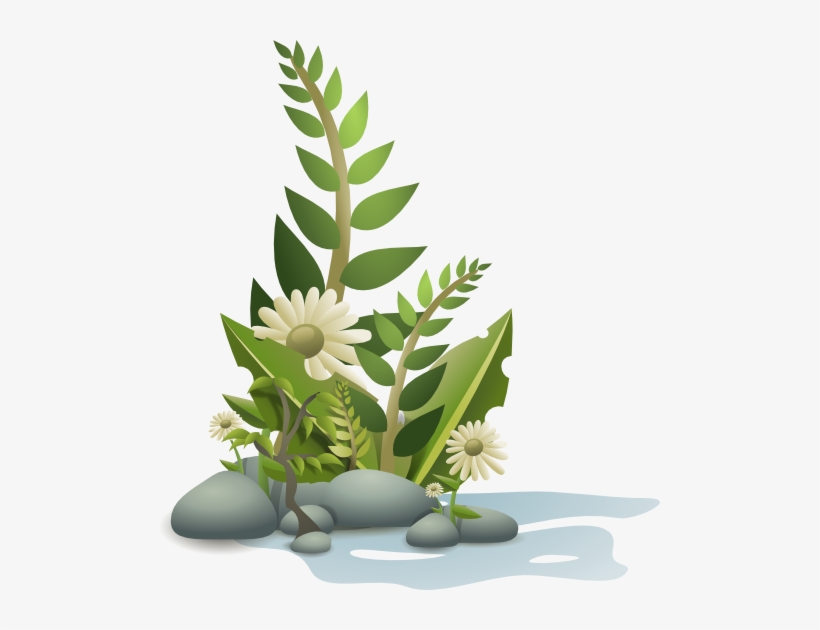 Pebbles-plants - Plants Clipart, transparent png download