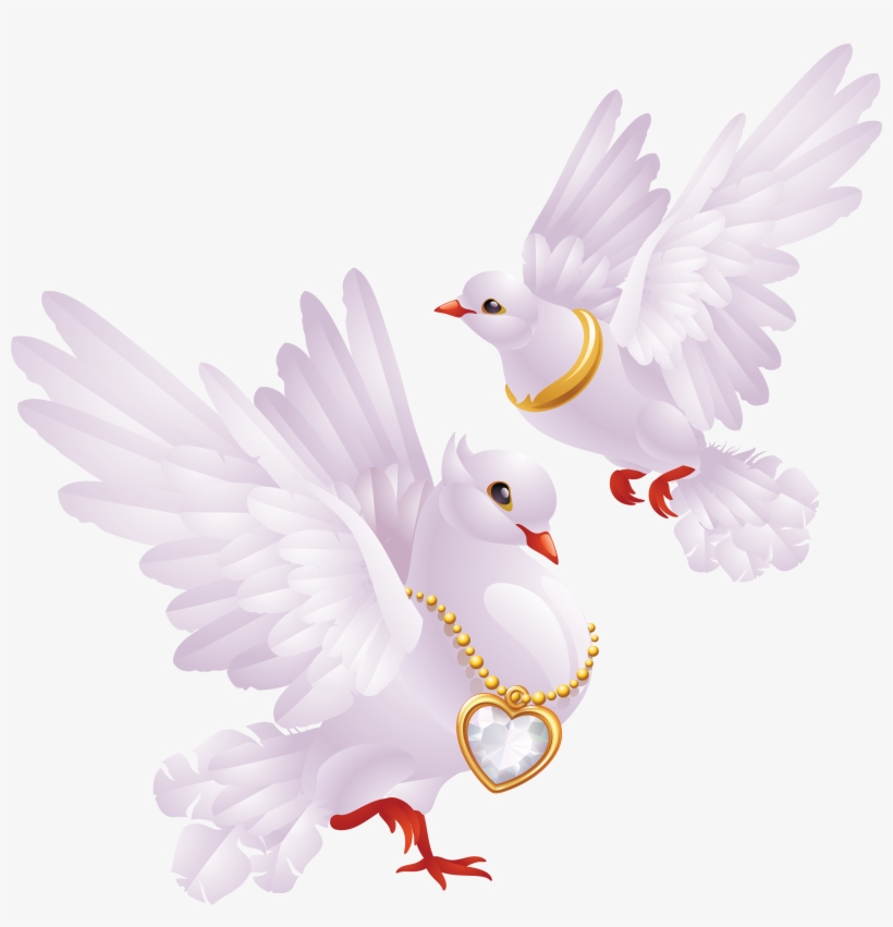 Pin By Aynur Bobaro Lu On Bride - Dove For Wedding Transparent Background Png, transparent png download