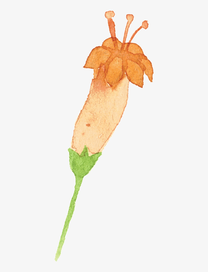 This Graphics Is Classical Aesthetic Flower Cartoon - Portable Network Graphics, transparent png download