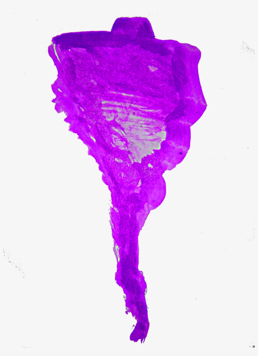 Watercolor Pattern Free Png, transparent png download